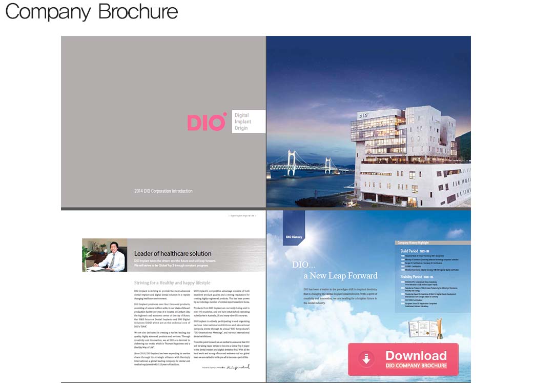 DIO company brochure